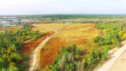 888����(�й���)���޹�˾����