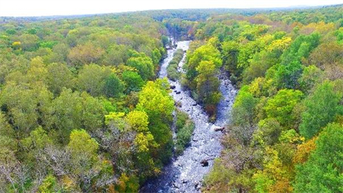 888����(�й���)���޹�˾����