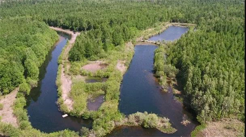 888����(�й���)���޹�˾����