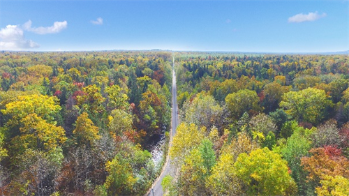 888����(�й���)���޹�˾����