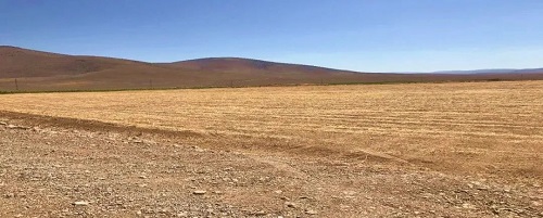 888����(�й���)���޹�˾����