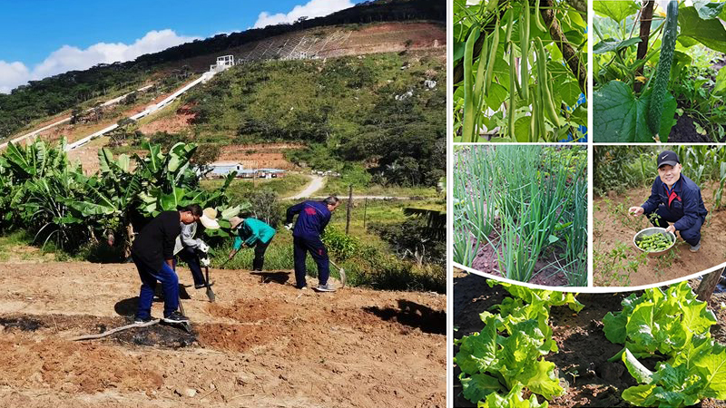 888����(�й���)���޹�˾����